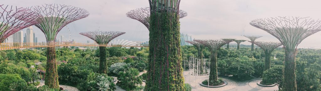 Singapore’s Gardens by the Bay